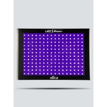 CHAUVET DJ LED Shadow