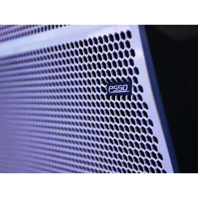 PSSO PRIME-315 Club Speaker System