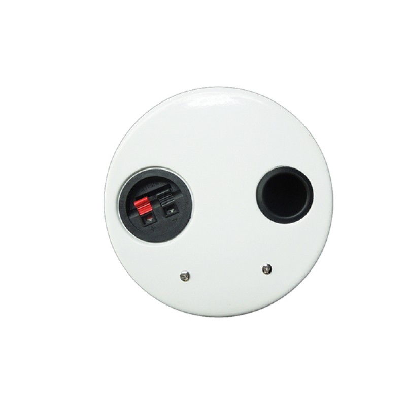 DSPPA DSP211 8 inch 45W Ceiling Subwoofer